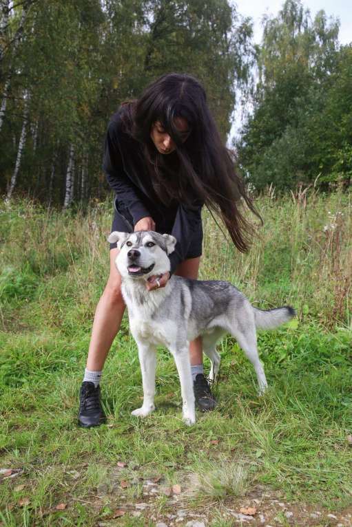 Собаки в Москве: Серенький Мальчик, Бесплатно - фото 11