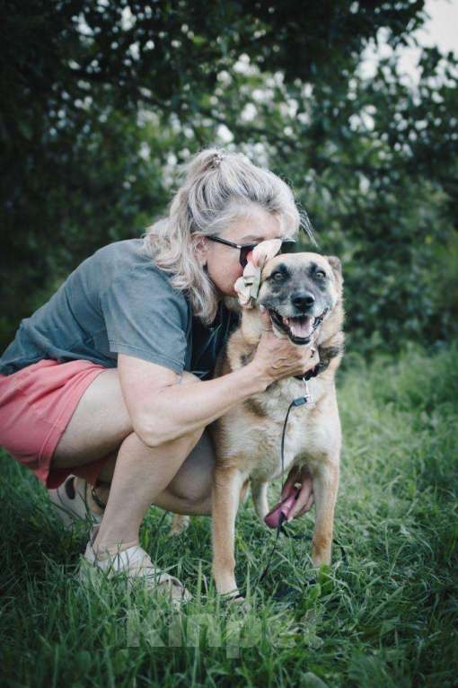 Собаки в других городах Московской области: Девочка Банди ищет дом Девочка, Бесплатно - фото 5