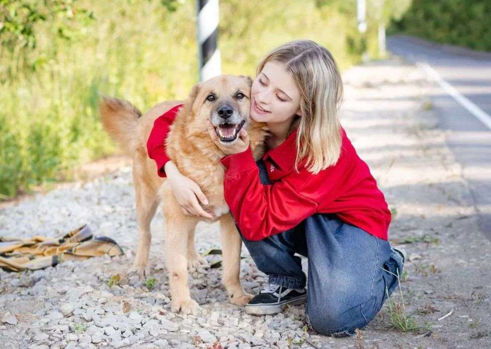 Собаки в Москве: Бренд Мальчик, Бесплатно - фото 4