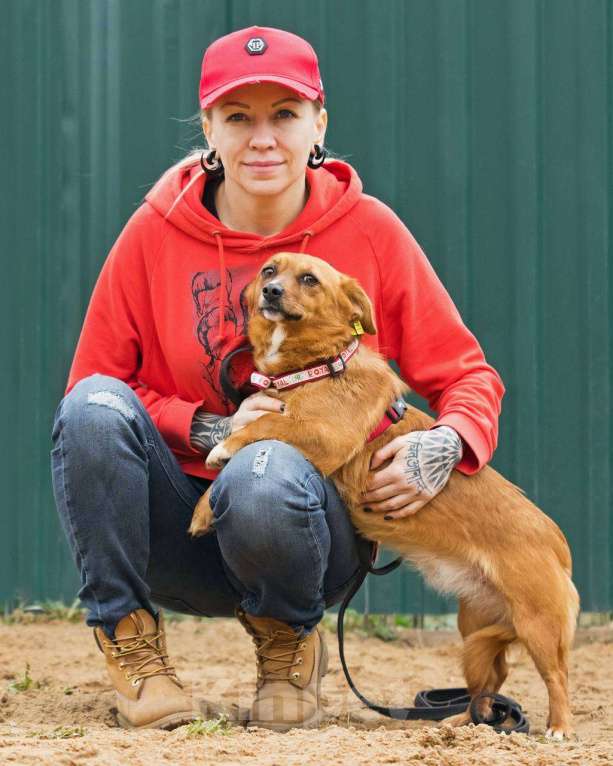 Собаки в других городах Московской области: Нежная Люси ищет дом Девочка, Бесплатно - фото 9