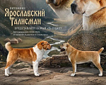 Собаки в Москве: Среднеазиатская овчарка (алабай) Девочка, 70 000 руб. - фото 6