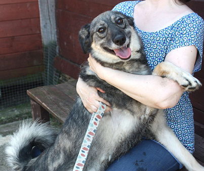 Ласковая, жизнерадостная, позитивная Златочка ждет свою семью, мечтает о доме.