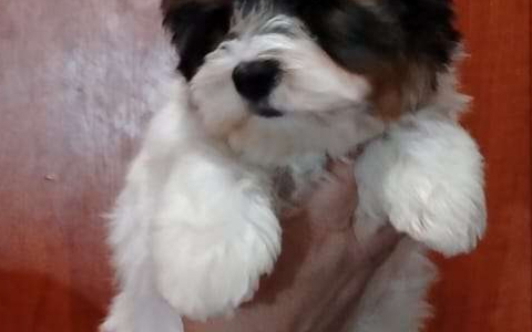 Супер детка