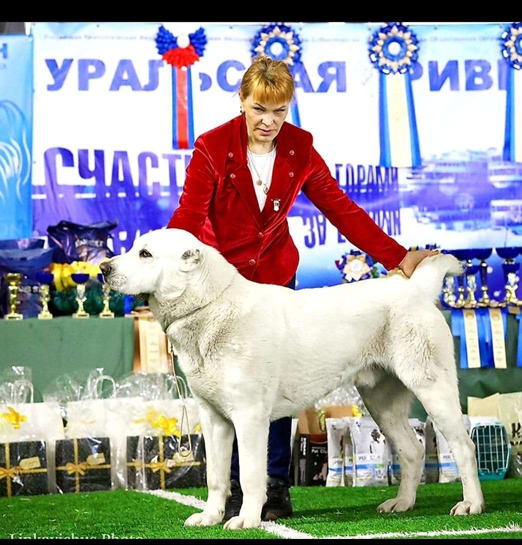 Рисунок на день папы