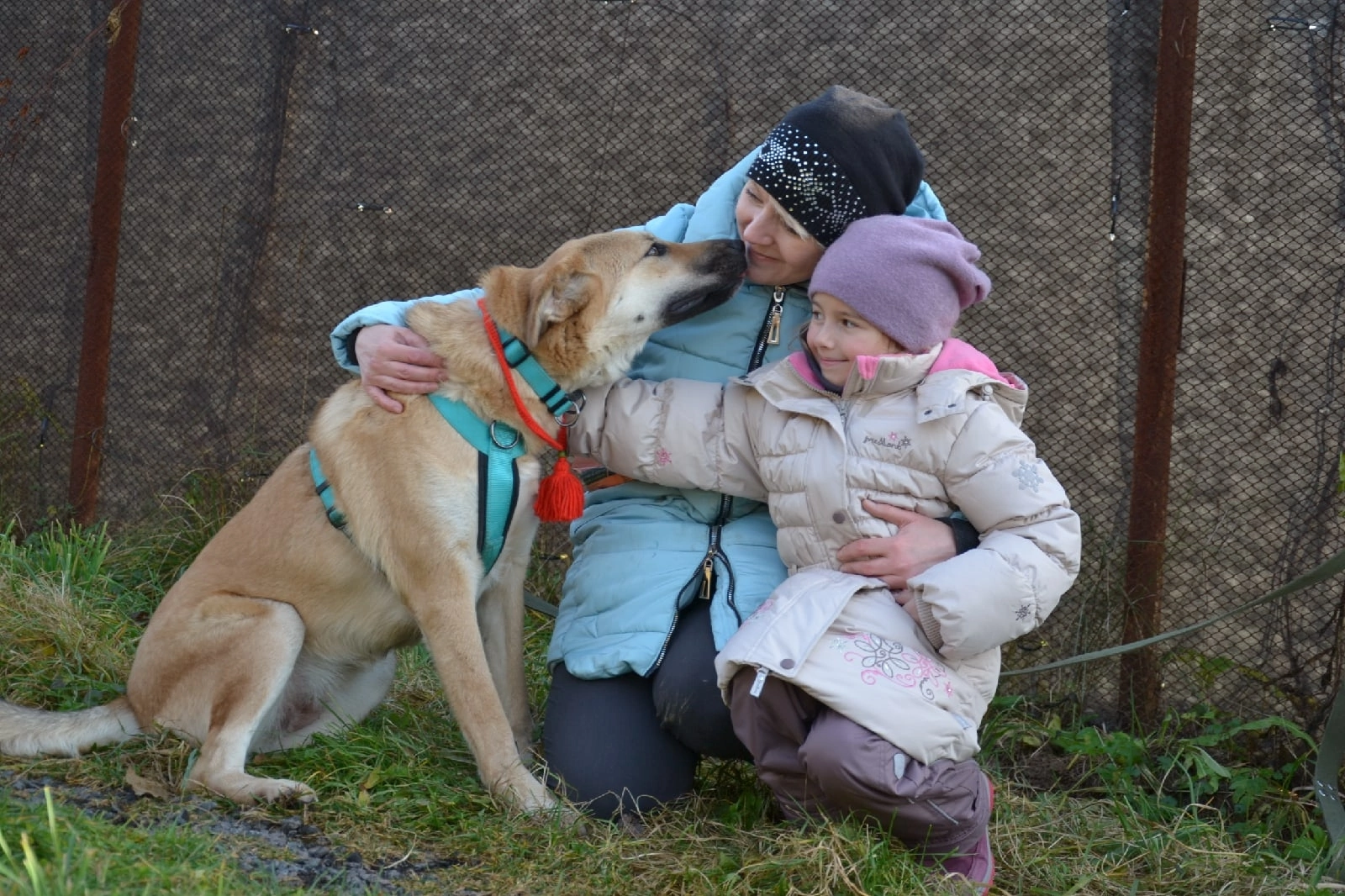 Собаки в Пушкино: ИЩЕТ ДОМ СОБАКА бАРАБУЛЯ Девочка, 7 руб. - фото 3