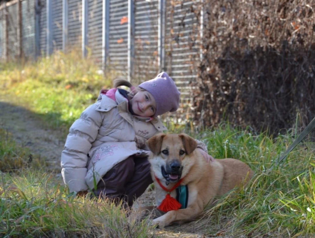 Собаки в Пушкино: ИЩЕТ ДОМ СОБАКА бАРАБУЛЯ Девочка, 7 руб. - фото 2